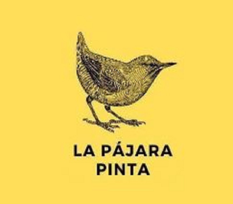 Imagen publicación: La Pájara Pinta trabaja en nueva apuesta editorial
