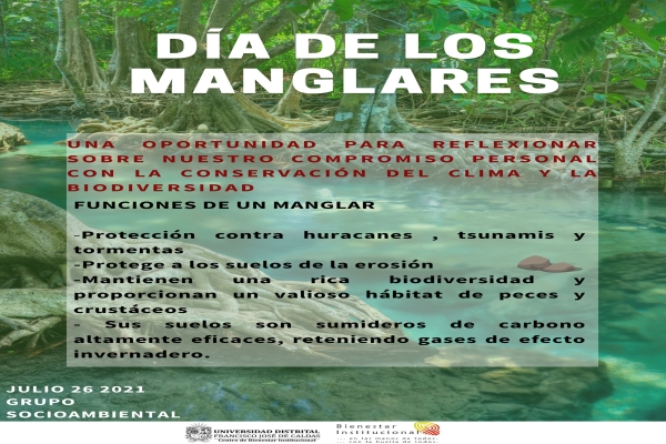 Imagen publicación: Celebra el Día de los Manglares