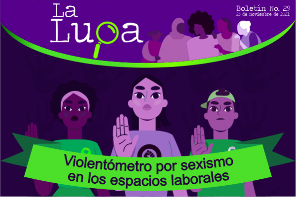 Imagen publicación: Boletín Informativo La Lupa No. 29