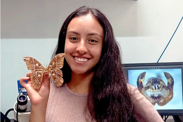 Imagen noticia: Mariposas y polillas brillan en presentación de egresada de Licenciatura en Biología de la Universidad Distrital Francisco José de Caldas 