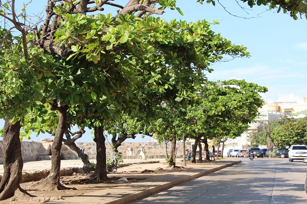 Imagen publicación: Universidad Distrital aporta a la gestión medioambiental en Cartagena