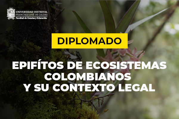 Imagen publicación Diplomado Epífitos de ecosistemas colombianos y su contexto legal