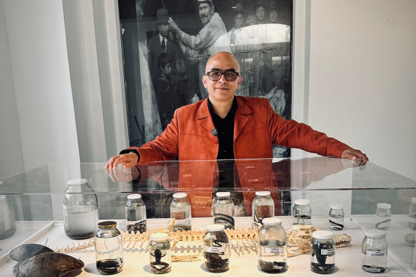 Imagen noticia: Visita la exposición permanente del Museo de Historia Natural MHNUD 