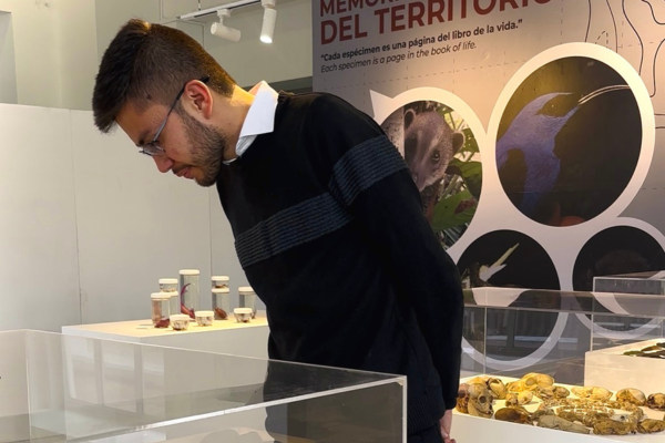 Imagen publicación: Visita la exposición permanente del Museo de Historia Natural MHNUD