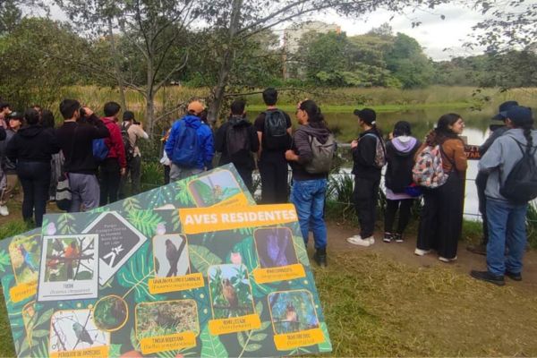 Imagen publicación: Voluntariado Ambiental UD recibe reconocimiento distrital por su labor 2025