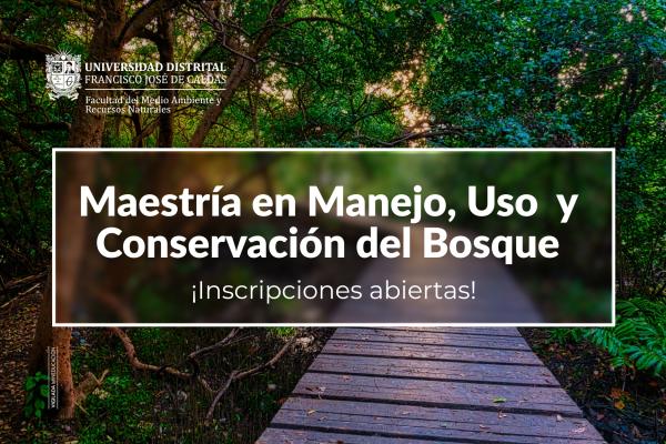 Imagen publicación Inscríbase a la Maestría en Manejo, Uso y Conservación del Bosque de la Facultad del Medio Ambiente y Recursos Naturales