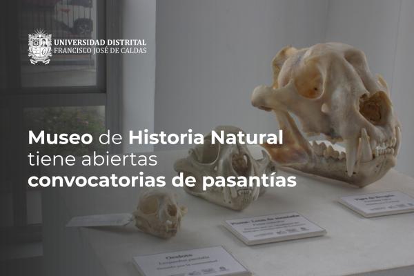 Museo de Historia Natural tiene abiertas convocatorias de pasantías